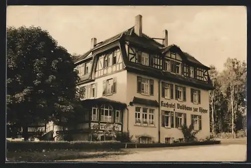 AK Bad Klosterlausnitz / Thür., Kurhotel Waldhaus zur Köppe