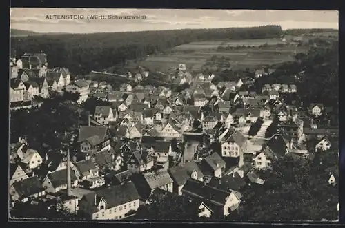 AK Altensteig / Schwarzwald, Gesamtansicht