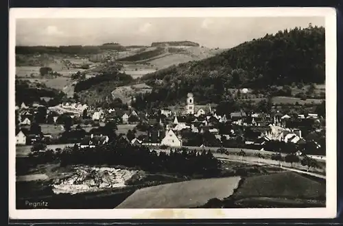 AK Pegnitz, Totalansicht mit Kirchturm