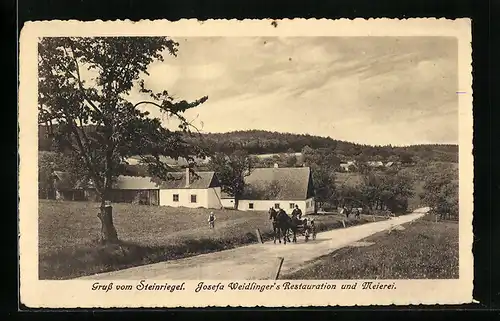 AK St. Andrä-Wördern, Gasthaus und Meierei Steinriegel mit Landstrasse