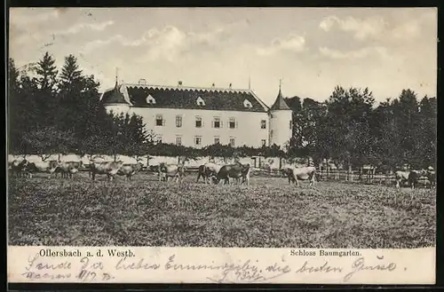 AK Ollersbach a. d. Westb., Schloss Baumgarten