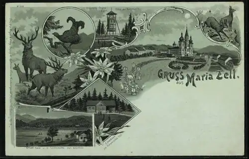 Lithographie Mariazell, Wahlfahrtskirche, Höhe am Bürgerapfel, Schutzhaus, Rothirsch, Birkhuhn