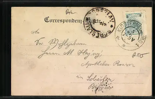 AK Klosterneuburg, Ortsansicht, Fassrutschen im Stiftskeller