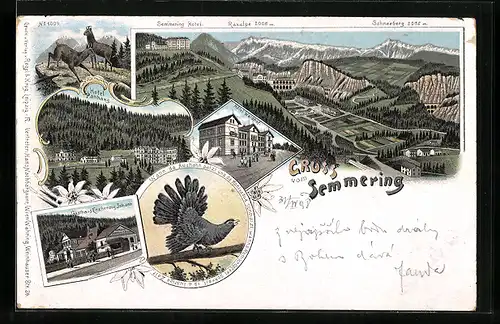 Lithographie Semmering, Totalansicht, Hotel Panhans, Gasthaus Erzherzog Johann