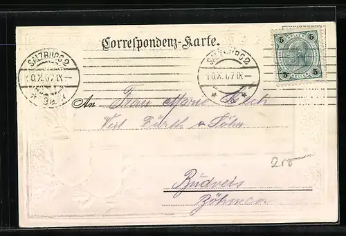 AK Salzburg, Stadtansicht mit Wappen