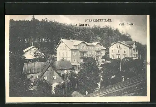 AK Johannisbad / Janske Lazne, Villa Aurora, Villa Falke