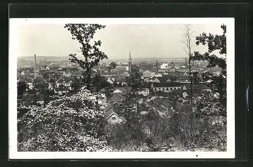 AK Kralupy, Celkovy pohled, Panorama