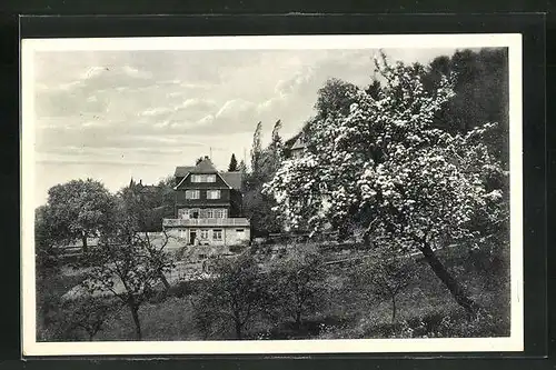 AK Lindenfels /Odenwald, Hotel Burgfrieden