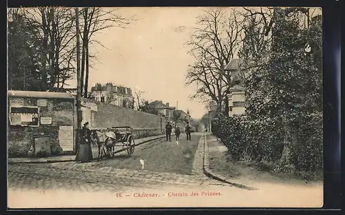 AK Chatenay, Chemin des Princes