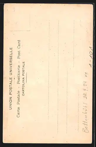 Lithographie Portrait Papst Pius X.