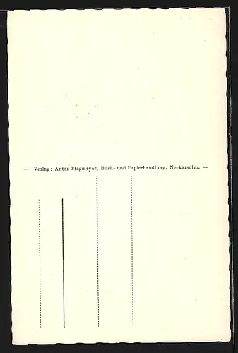 AK Neckarsulm, Untere Hauptstrasse mit Blick a. d. Stadtpfarrkirche