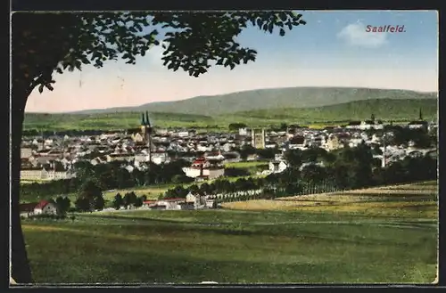 AK Saalfeld, Ortspanorama mit Fernblick