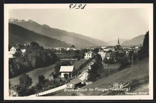 AK Bruck-Fusch im Pinsgau, Strassenpartie am Ortseingang
