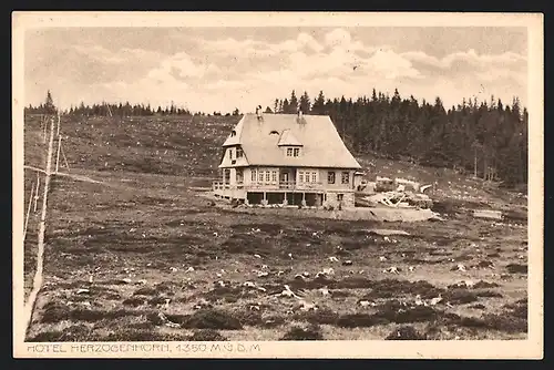 AK Feldberg, Hotel Herzogenhorn