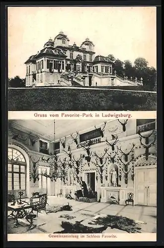 AK Ludwigsburg, Schloss Favorite mit Park und Geweihsammlung