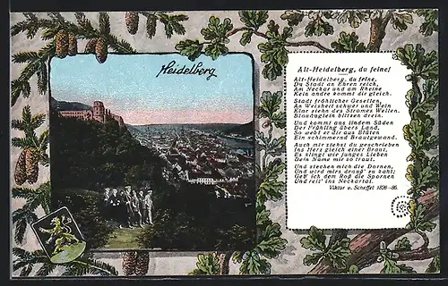 AK Heidelberg, Ansicht der Stadt aus der Vogelperspektive