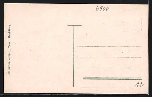 AK Heidelberg, Ansicht der Stadt aus der Vogelperspektive