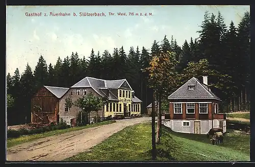 AK Stützerbach, Gasthof z. Auerhahn am Waldrand