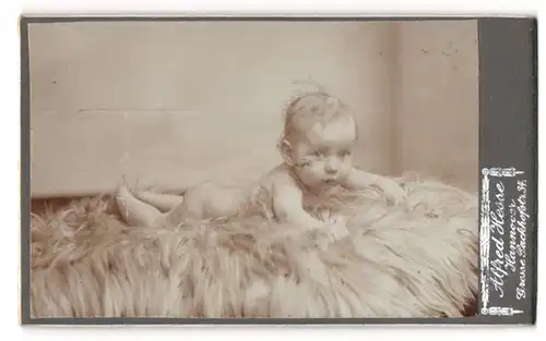 Fotografie Alfred Hesse, Hannover, Grosse Packhofstr. 34, Nacktes Kleinkind liegt bäuchlings auf Fell