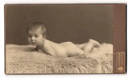 Fotografie A. Wertheim, Berlin, Rosenthalerstr., Nacktes Kleinkind liegt bäuchlings auf Fell
