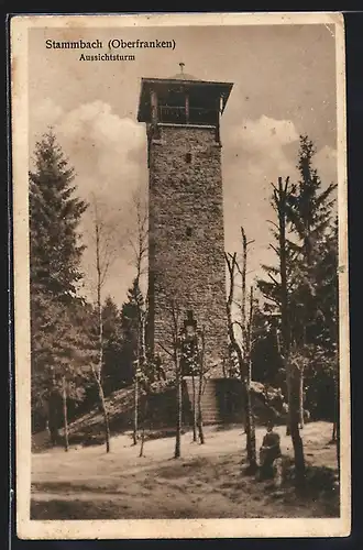 AK Stammbach /Oberfranken, Partie am Aussichtsturm