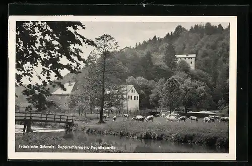 AK Rupprechtstegen, Partie an der Pegnitz