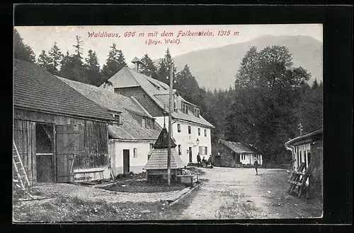 AK Waldhaus /Bayr. Wald, Ortspartie mit Falkenstein