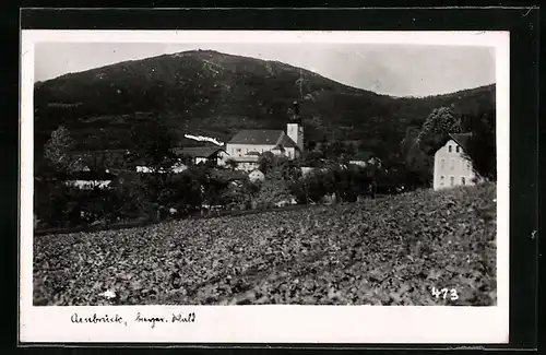 AK Arnbruck /Bayer. Wald, Ortspartie mit Kirche