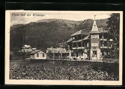 AK Frein an der Mürz, Blick auf Häuser mit der Wildalpe