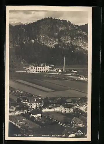 AK Peggau, Ortsansicht mit Berg aus der Vogelschau