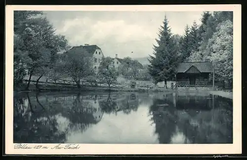 AK Pöllau, Au-Teich mit Hütte