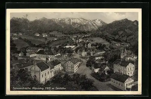 AK Mürzsteg, Die Sommerfrische aus der Vogelschau