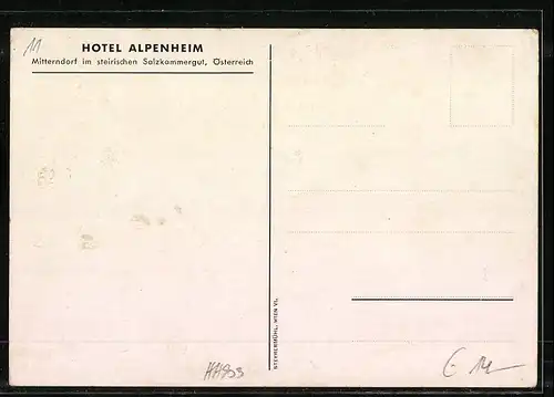 Künstler-AK Mitterndorf, Partie am Hotel Alpenheim