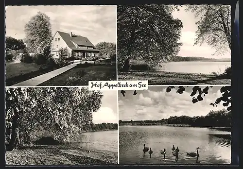 AK Appelbeck, Am Gasthof Appelbeck am See