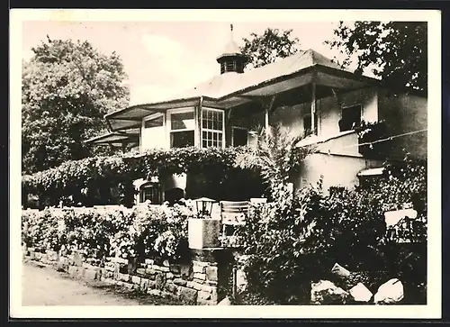 AK Bad Homburg, An der Tennis-Bar im Kurpark
