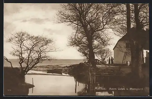 AK Aarhus, Aaens Udlob v. Moesgaard