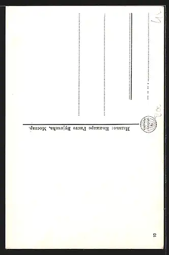 AK Mostar, Blick zum Minarett