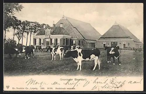 AK Groningen, Groninger Boerderij