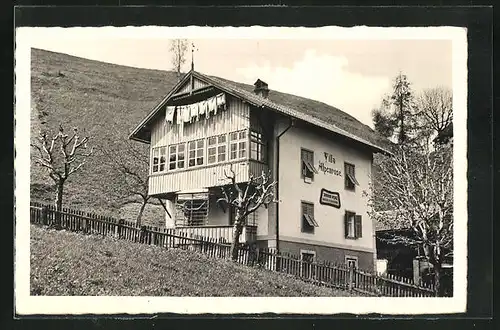 AK Steinach a. Br., Villa Alpenrose