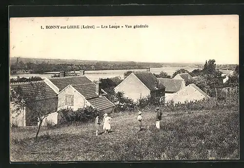 AK Bonny-sur-Loire, Les Loups, Vue générale