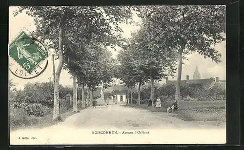 AK Boiscommun, Avenue d`Orléans