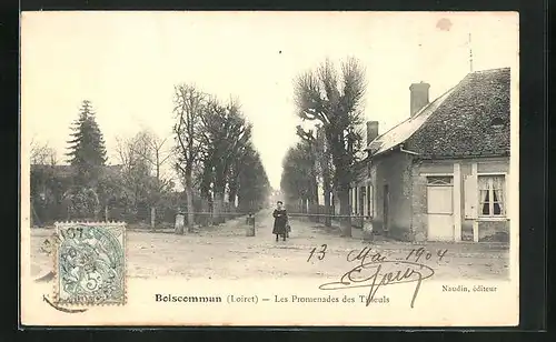 AK Boiscommun, Les Promenades des Tilleuls