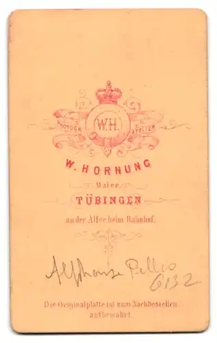 Fotografie W. Hornung, Tübingen, Portrait junger Herr mit weissblondem Haar