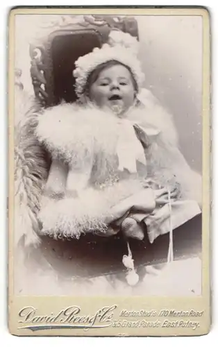 Fotografie David Rees & Co., East Putney, Portrait sitzendes Kleinkind in hübscher Kleidung mit Mützchen