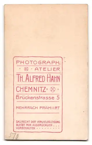 Fotografie Th. Alfred Hahn, Chemnitz, Portrait Kleinkind in Leibchen