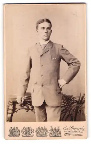 Fotografie Oscar Strensch, Wittenberg, Portrait junger Herr im Anzug mit Krawatte