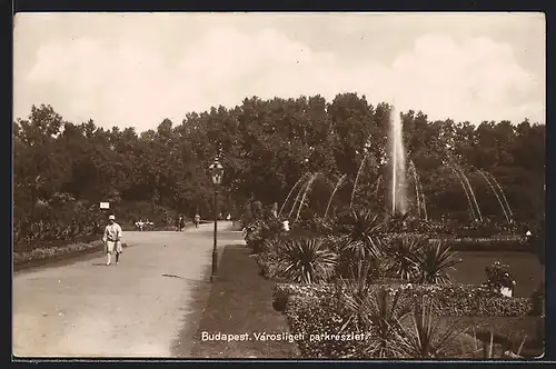 AK Budapest, Városligeti parkreszlet