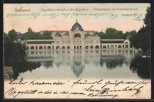 AK Budapest, Eislaufplatz im Stadtwäldchen