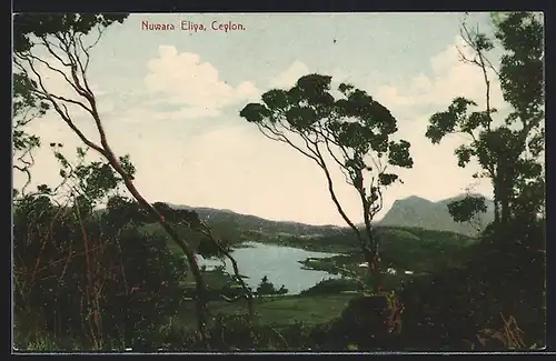 AK Ceylon, Nuwara Eliya