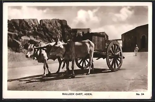 AK Aden, Bullock Cart, Ochsen-Gespann